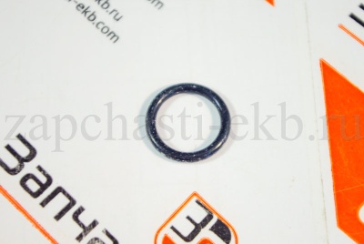 3037537 Уплотнительное кольцо для Cummins QSK19